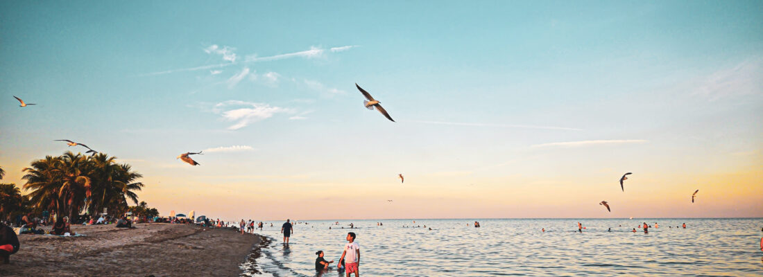Zonsondergang bij Crandon Park op Key Biscayne © Fede Calvo 1